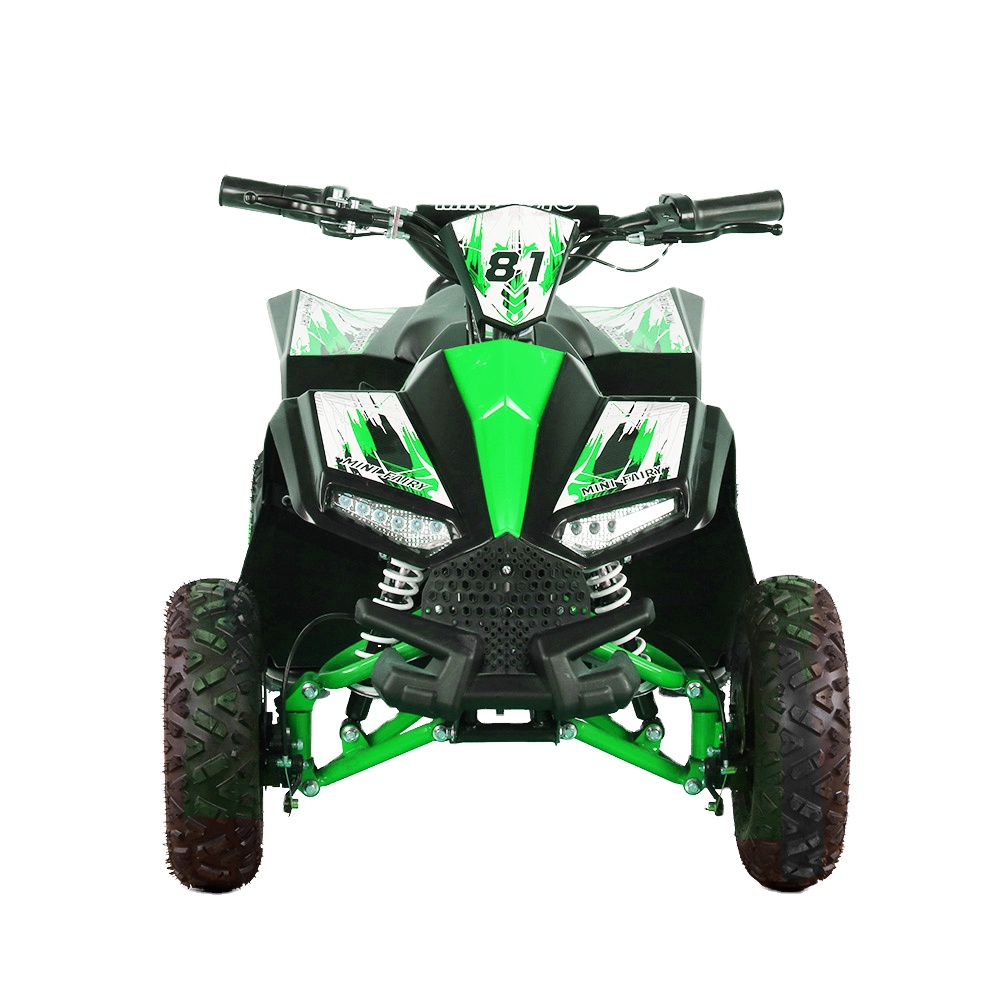 Kids Outdoor Electric Quad - ATV Quad Listrik Anak 1000W 48V