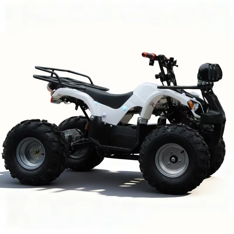Kids Outdoor Electric Quad - ATV Quad Listrik Anak 750W 48V,
