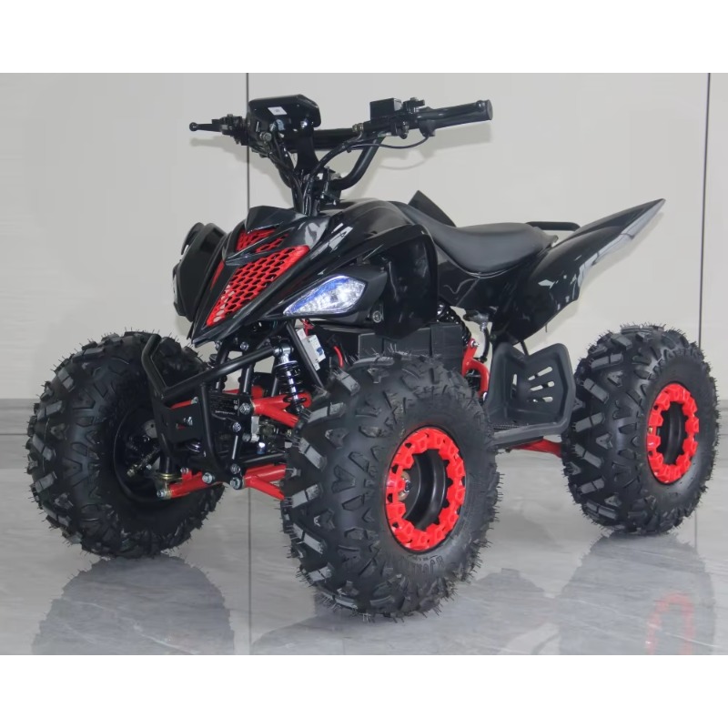 Kids Outdoor Electric Quad - ATV Listrik Anak 48V 1000W, Sepeda
