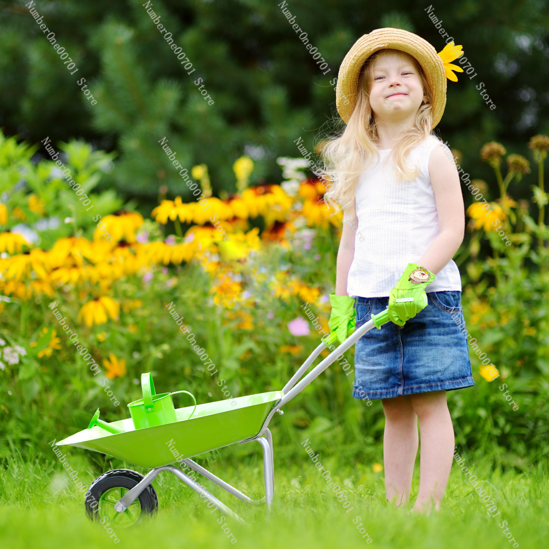 Gerobak Dorong Anak untuk Luar - Kids Outdoor Activity Set ulasan dan harga