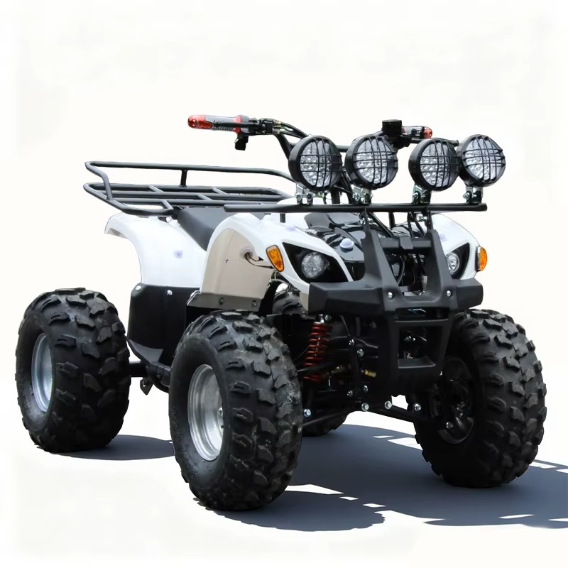 ATV Quad Listrik Anak 750W 48V - Kids Outdoor Electric Quad ulasan dan harga