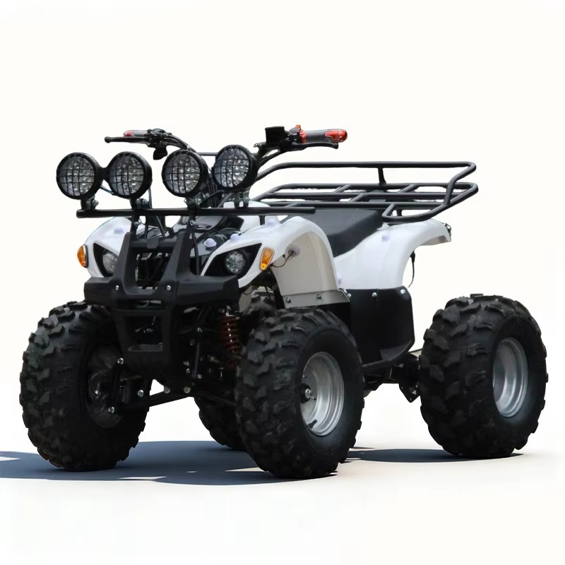 ATV Quad Listrik Anak 750W 48V - Kids Outdoor Electric Quad ulasan dan harga