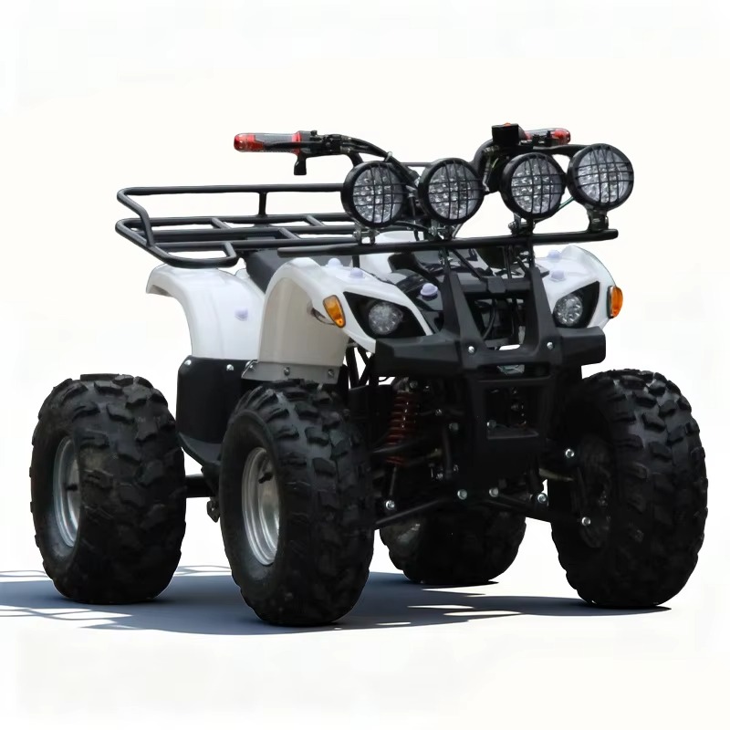 ATV Quad Listrik Anak 750W 48V - Kids Outdoor Electric Quad ulasan dan harga