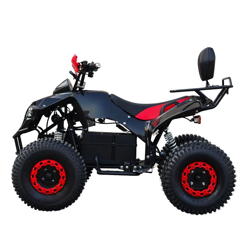 ATV Quad Penggerak Poros Elekt - Kids Outdoor Electric Quad ulasan dan harga