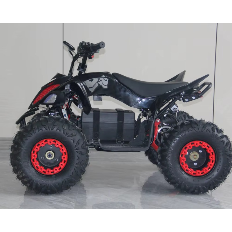 ATV Listrik Anak 48V 1000W, Se - Kids Outdoor Electric Quad ulasan dan harga